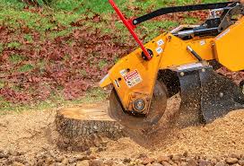 Grass Overseeding in Denton, NC